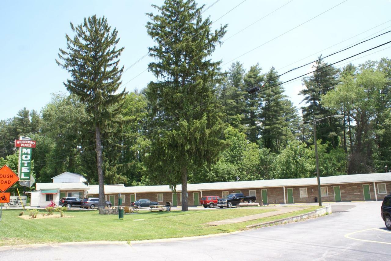 Whispering Pines Motel - 阿什维尔 外观 照片
